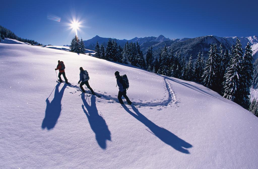 Alpina Zillertal . Family Lifestyle Kinderhotel 菲根 外观 照片